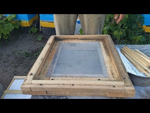Сетчатое дно улья когда закрывается