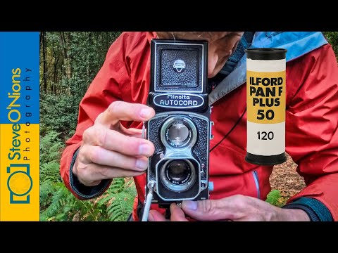 Old camera, slow film - great results!