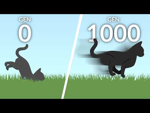 AI Cat Learns to Run