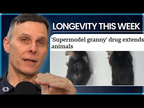 This Study Says IL-11 Inhibitor Drug May Extend Lifespan