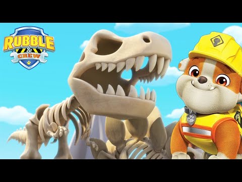 Dinosaur Museum 🐱‍🐉 | Rubble and Crew | Cartoons for Kids