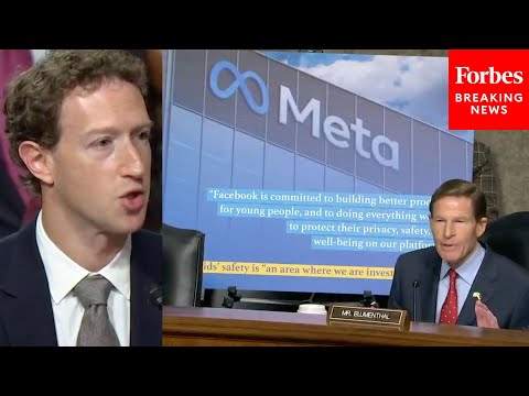 'Mr. Zuckerberg, Do You Believe You Have A Constitutional Right To Lie To Congress?': Blumenthal