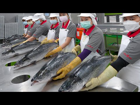 Salmon fish cutting & salmon donburi making! / 鮭魚加工, 鮭魚丼飯 - Taiwanese food factory