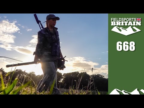 Fieldsports Britain – muntjac surprise