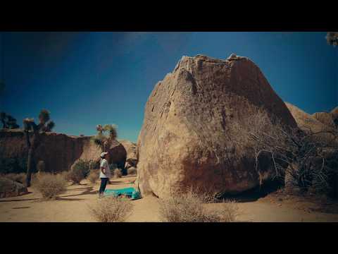 This one’s not for the algorithm.