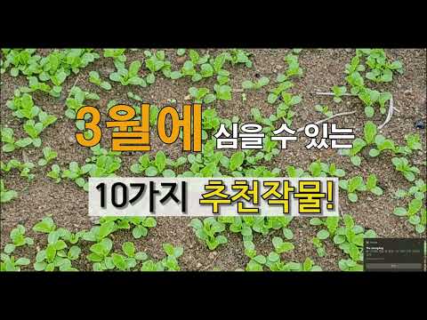 '23년 3월에 심을 수 있는 10가지 추천 작물! #주말농장 , 도시 텃밭가꾸기.
