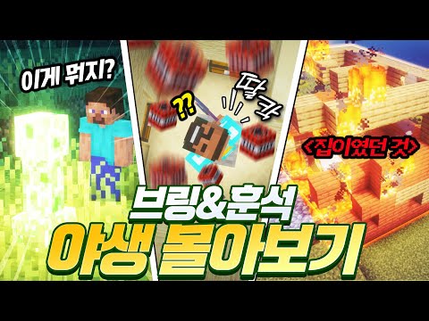 마크 처음해보는 훈석과 야생 엔더드래곤 잡기까지! 4시간 30분 대여정 야생 몰아보기!