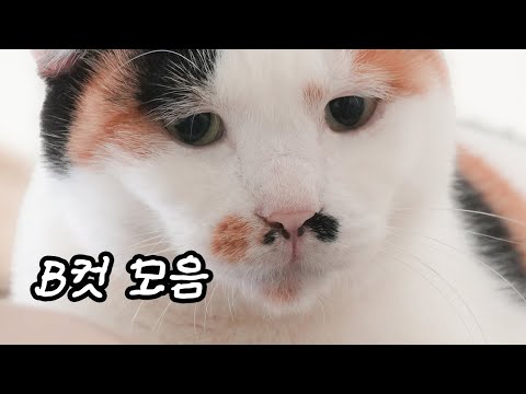 쉼터 아이들 몰래 올려보는 미공개 영상 모음