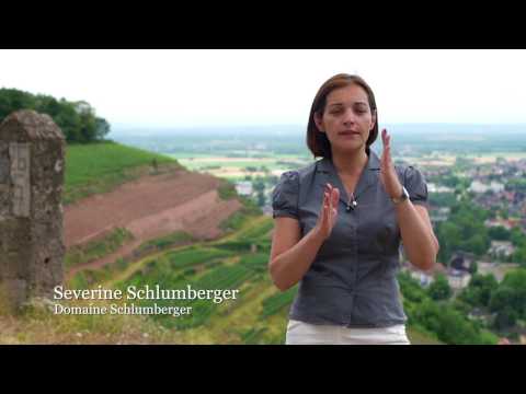 The Wines of Alsace