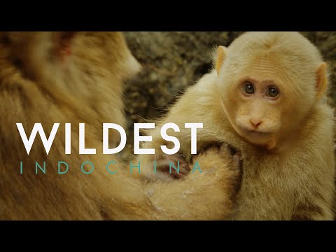 Southwest China: China's Secret Garden 4K