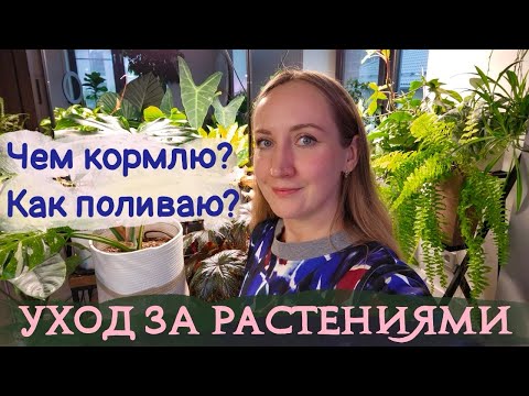 Мой УХОД ЗА РАСТЕНИЯМИ  |  Чем кормлю? Как поливаю? Как укореняю? ВСЁ-ВСЁ об уходе