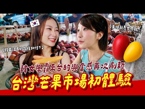 🇰🇷學霸再次刷新視野🤯學生在韓國不可能自己負擔起的水果，來台灣市場竟可以試吃到嗨翻🥭【咪蕾帶你去台灣－金星的南部之旅Ep.2】