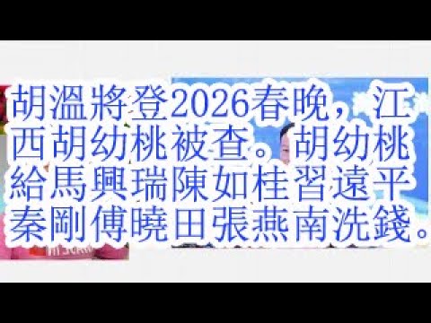 胡温将登2026春晚，江西胡幼桃被查。胡幼桃给马兴瑞陈如桂习远平秦刚傅晓田张燕南洗钱。