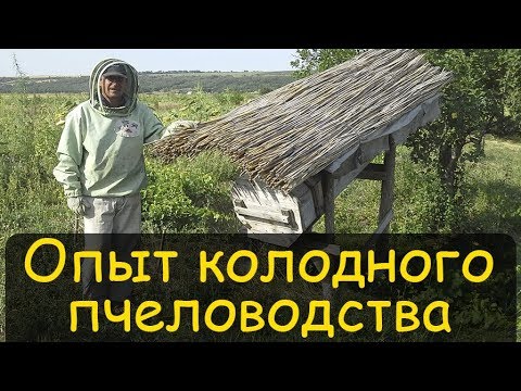 Колодное пчеловодство. Реальный опыт. Содержание пчел в колодах  Владимир Петрушев