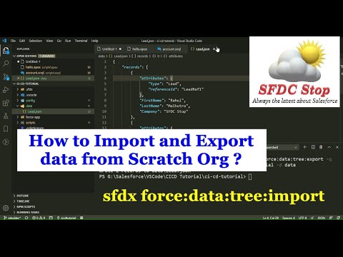 Import and Export Data using SFDX CLI in VSCode | Scratch Org | Salesforce Tutorial