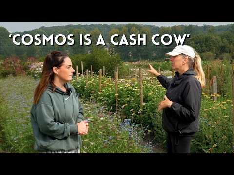 How She Cuts 55,000 Cut Flower Stems in a Month