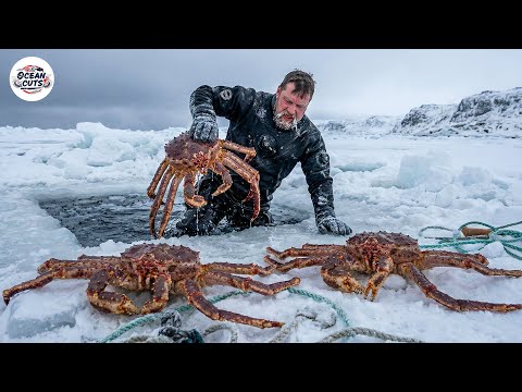 Extreme King Crab Fishing on Frozen Sea Ice | Cooking Giant Alaskan King Crab