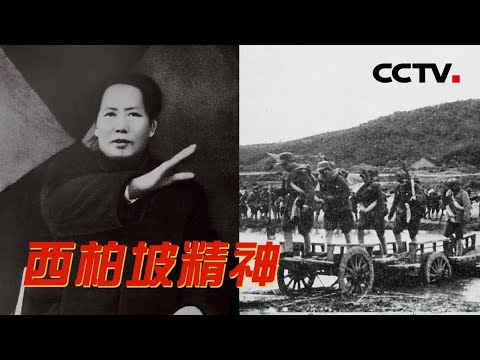 毛泽东为何决定辽沈战役先攻锦州？珍贵画面揭秘东北野战军如何仅用31小时攻克锦州 20221130 |《国家记忆》CCTV中文国际