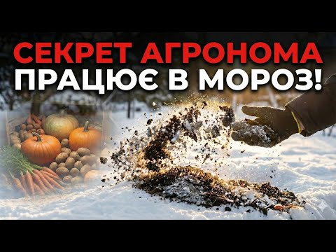 КИДАЙ це прямо на сніг — врожай завалить льох!