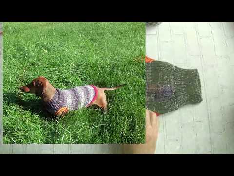 Вязаная одежда для собак ¦ Наши расчеты ¦ Как связать по размеру