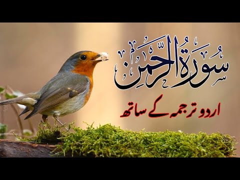 Surah Rahman Quran Tilawat with Urdu Translation | Peaceful Morning Recitation