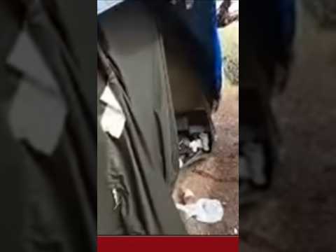 JLR Smells Something and Gets SPOOKED! #nancyguthrie