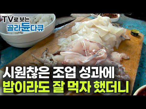 '한 그물에 1,000만 원' 잘 먹고 입 벌리니까 물밀듯 알아서 들어오는 물고기｜병어, 오징어, 아귀. 잡어는 모둠회로 ｜바다 위 108경원호｜만선 갈치잡이｜극한직업｜#골라듄다큐