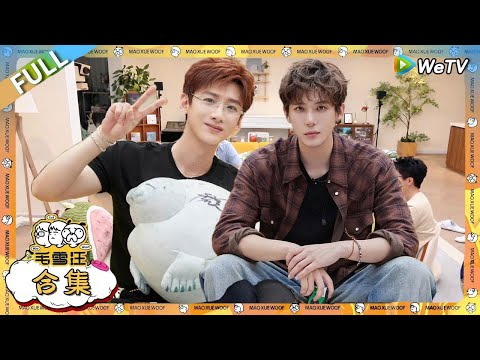 【出发团合集】：宇过天亭都前后来了毛雪汪！王安宇田曦薇翟子路比颜值？ ，白敬亭李雪琴爆笑互动！|《毛雪汪》#综艺 #毛雪汪 #李雪琴 #毛不易#白敬亭 #王安宇