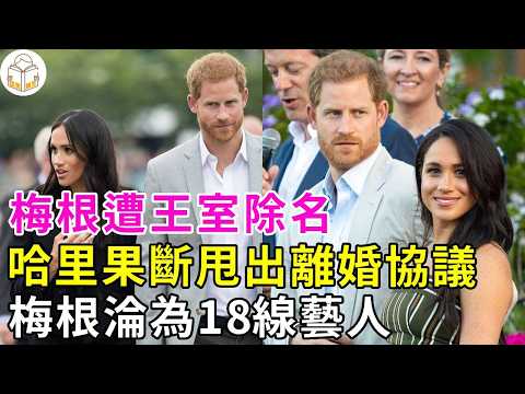 驚！梅根哈裡已撕破臉，哈裡甩出離婚協議！14億財産對半分，梅根搶孩子，公開打臉哈里，哈裡獨自參觀戴安娜故居#夏洛特公主#卡米拉#戴安娜王妃#凱特王妃#莉莉貝特#英國王室#談笑娛生#哈裡王子#梅根