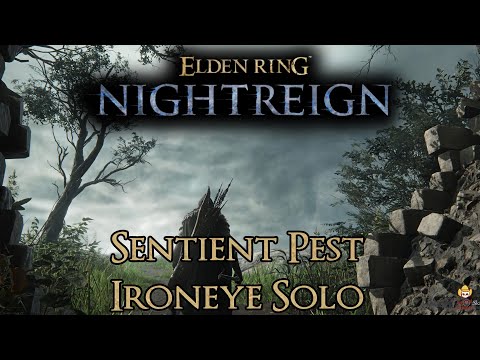 Elden Ring Nightreign - Solo Ironeye vs. Sentient Pest