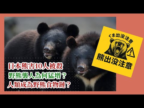 20251028*【熊出沒注意】日本熊害10人被殺，野熊襲人為何猛增？人類成為野熊食物鏈？