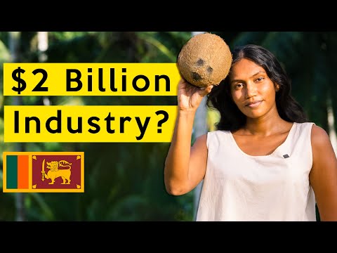 The Journey of a Coconut in Sri Lanka | Inside the worlds oldest coconut factory