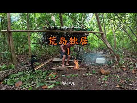 荒島獨居40天挑戰正式開始!這次的目標是在蘇門答臘的一個熱帶島嶼荒野求生!The 40-day solo island survival challenge has officially begun!