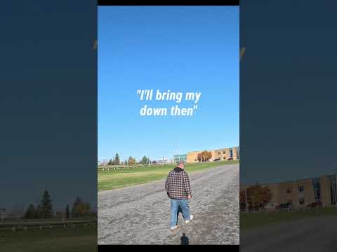 Three T-28 RC Planes and a CRASH