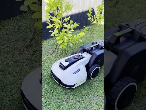 Mammotion Yuka - FIRST EVER FOOTAGE