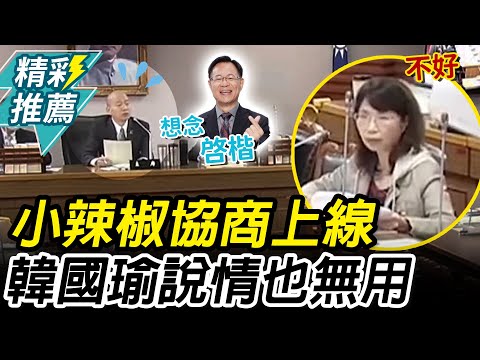 立院小辣椒上線！左喊不同意、右嗆柯建銘 韓國瑜「說情無用」喊：有點想念啓楷【CNEWS】