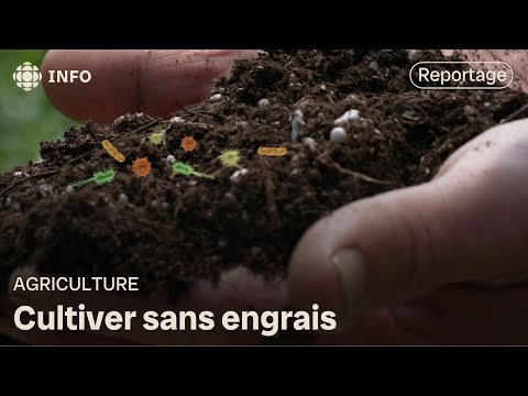 Fewer chemical inputs, more income! | Green Week