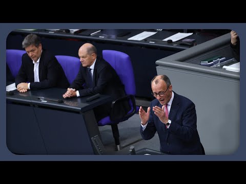 AfD stimmt für CDU-Antrag: Was war los im Bundestag? | #analyse