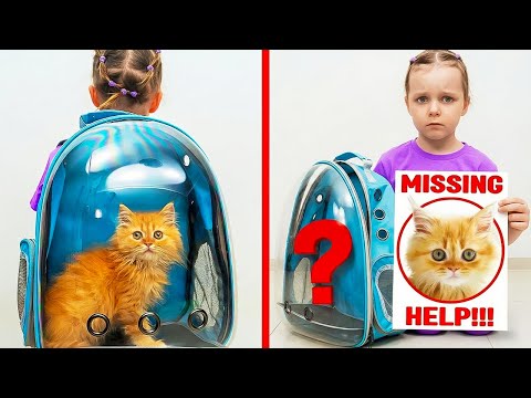 Cat Is Missing! Finding the Lost Kitty