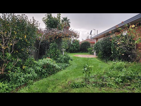 The Owner Was Speechless When They Saw the Garden Transformation