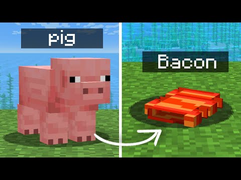 I Made Your Dumb Custom Mob Ideas In Minecraft 1.20