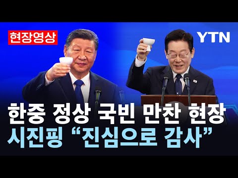 [현장영상] 한중 정상 국빈 만찬..시진핑 "진심으로 감사" / YTN