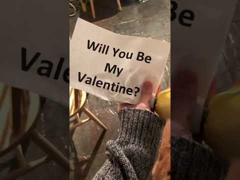 Man Makes Valentine Day's Dinner For His Dog