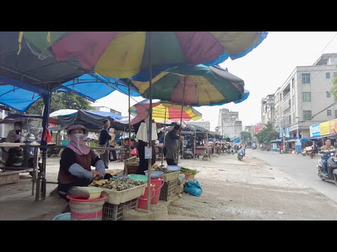 嚇了一跳,爛尾樓裡兩隻大狼狗守衛。遇到一個可憐的流浪漢,給他買饅頭包子