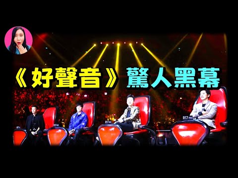 曾是中國最火爆的選秀節目，如今被扒出層層黑幕：50萬買一個晉級名額、陪S、造假，《中國好聲音》是如何跌落神壇的？[驚掉下巴 | 小烏]