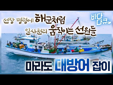 Offering precious sea bream as a sacrifice, the Marado fishing boat catches the highest quality y...
