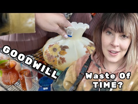 Thought This Goodwill Might Be a Waste of Time