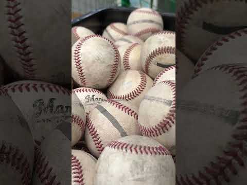 The Next Shohei Otani? Training Secrets of Lotte Marines Rookies