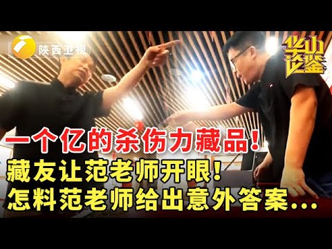 一个亿的杀伤力藏品！藏友让范老师开眼！怎料范老师给出意外答案...#鉴宝 #华山论鉴 #现场