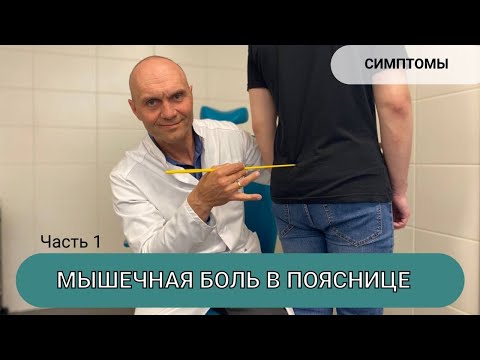 ПОЧЕМУ БОЛИТ ПОЯСНИЦА? МЫШЕЧНАЯ БОЛЬ В ПОЯСНИЦЕ (часть 1)